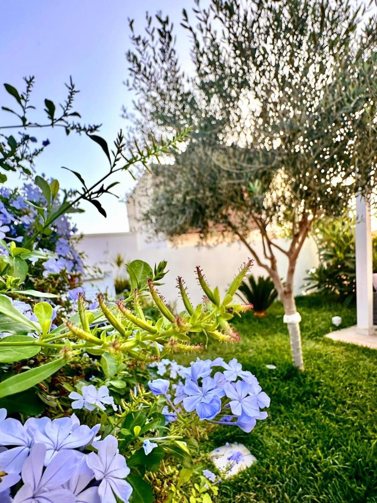 La Perla Di Villa